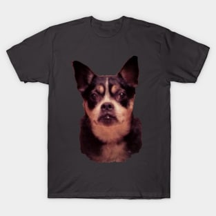 Boston Terrier Mix T-Shirt